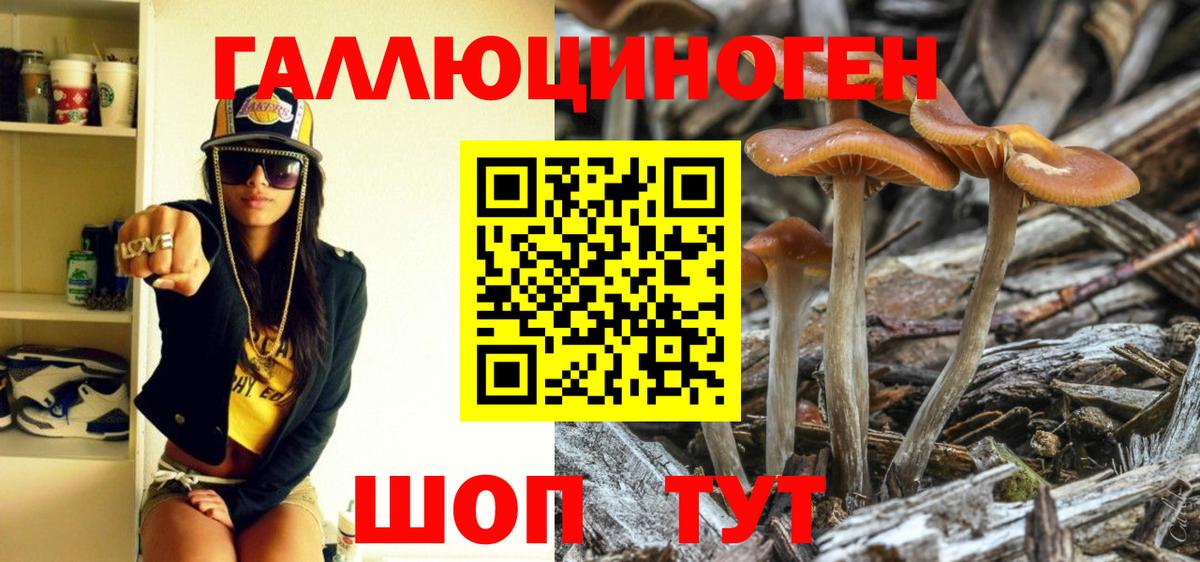 Галлюциногенные грибы MAGIC MUSHROOMS  наркотики  Лыткарино  Галлюциногенные грибы мухоморы  Вход с VPN 